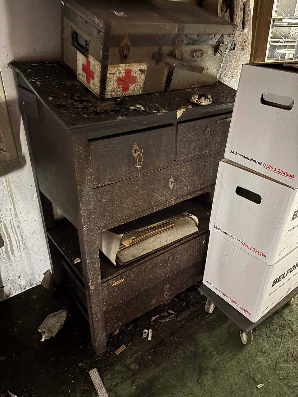 IMG 1929 12000